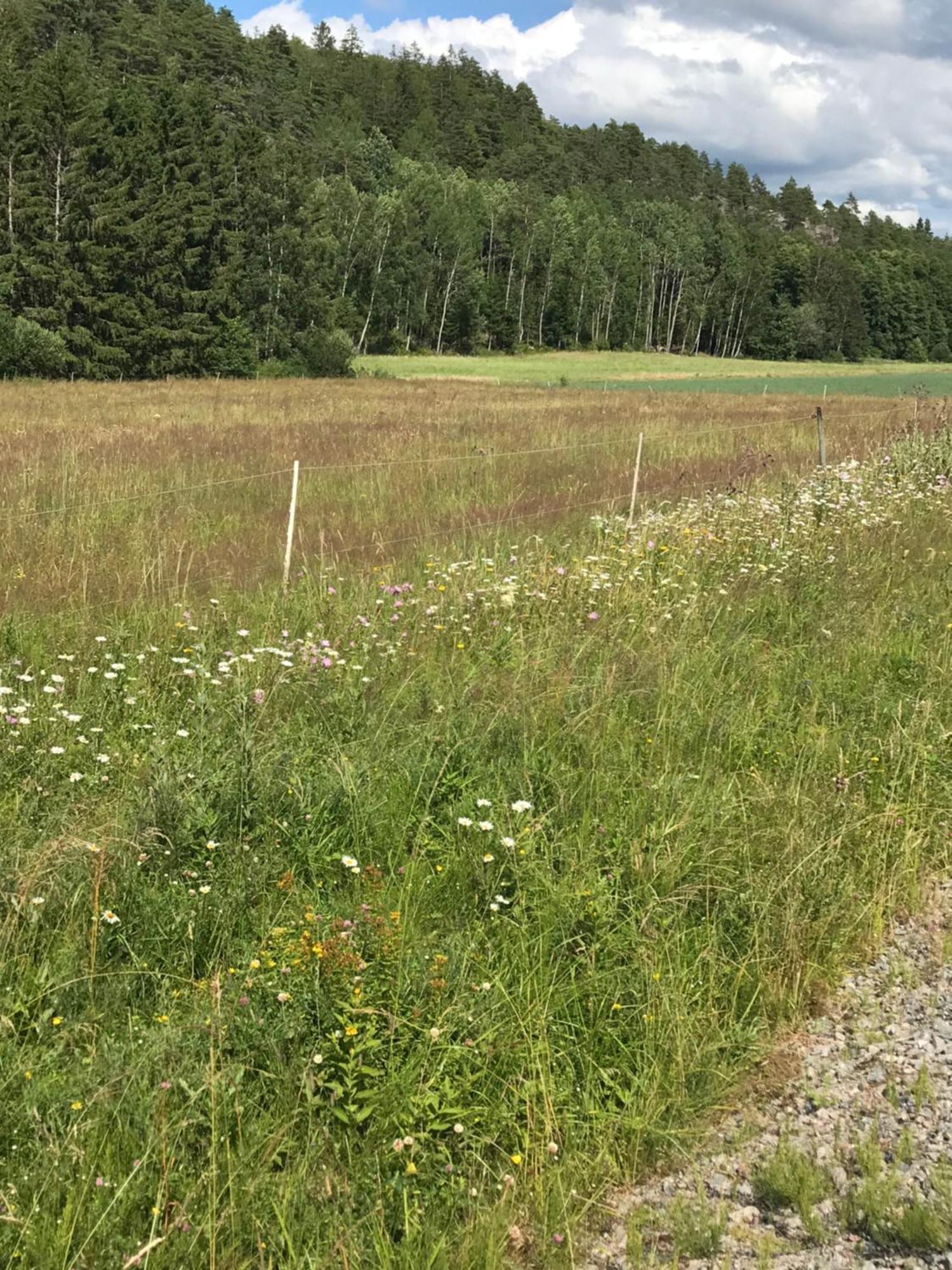Charmigt Aeldre Hus, Laddbox 22 Kw, 5 Bil-Minuter Till Bad Stromstad Luaran gambar